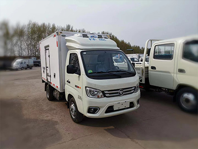Xiangling M1 truck